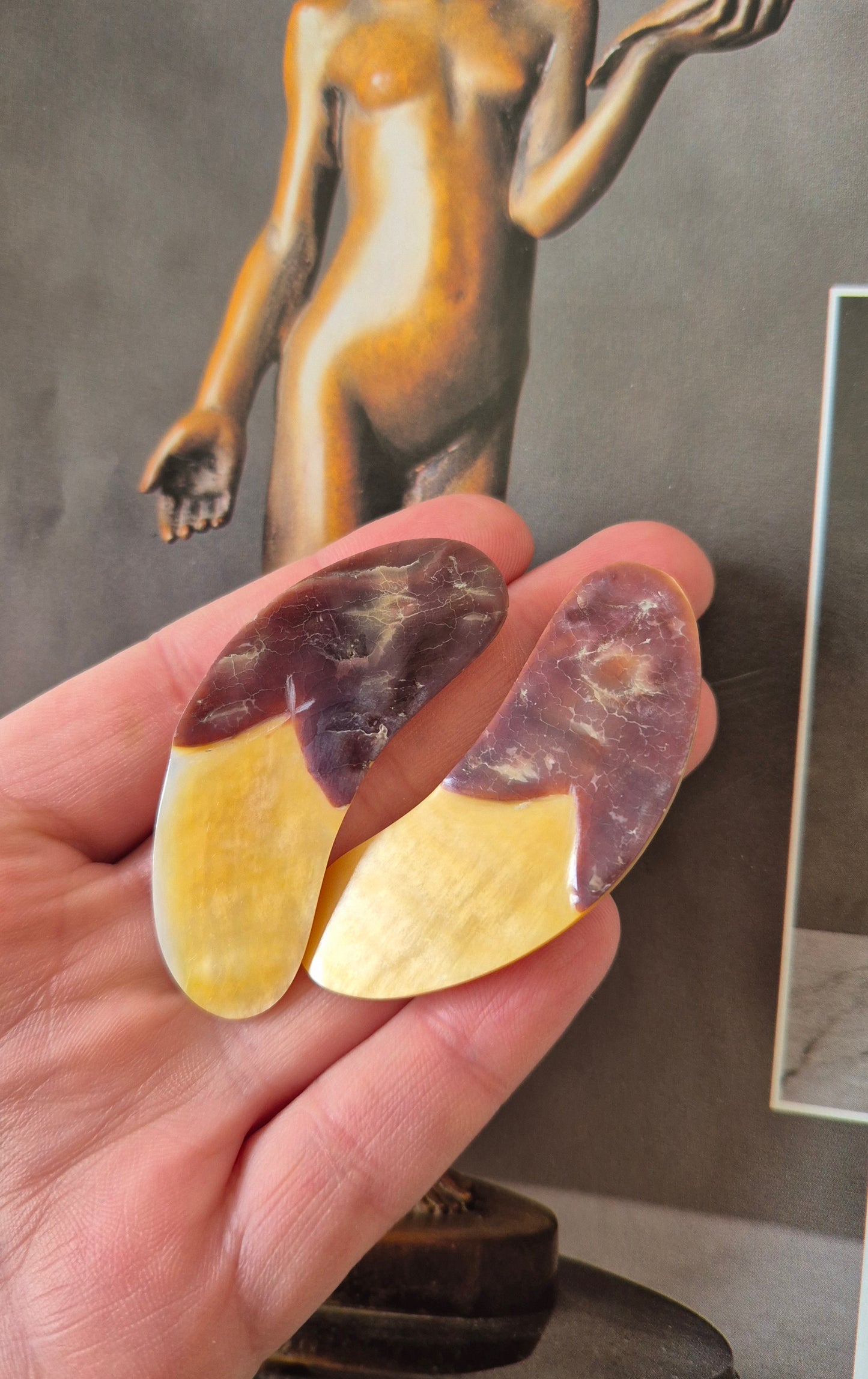 naušnice/klipse od sedefa, nove