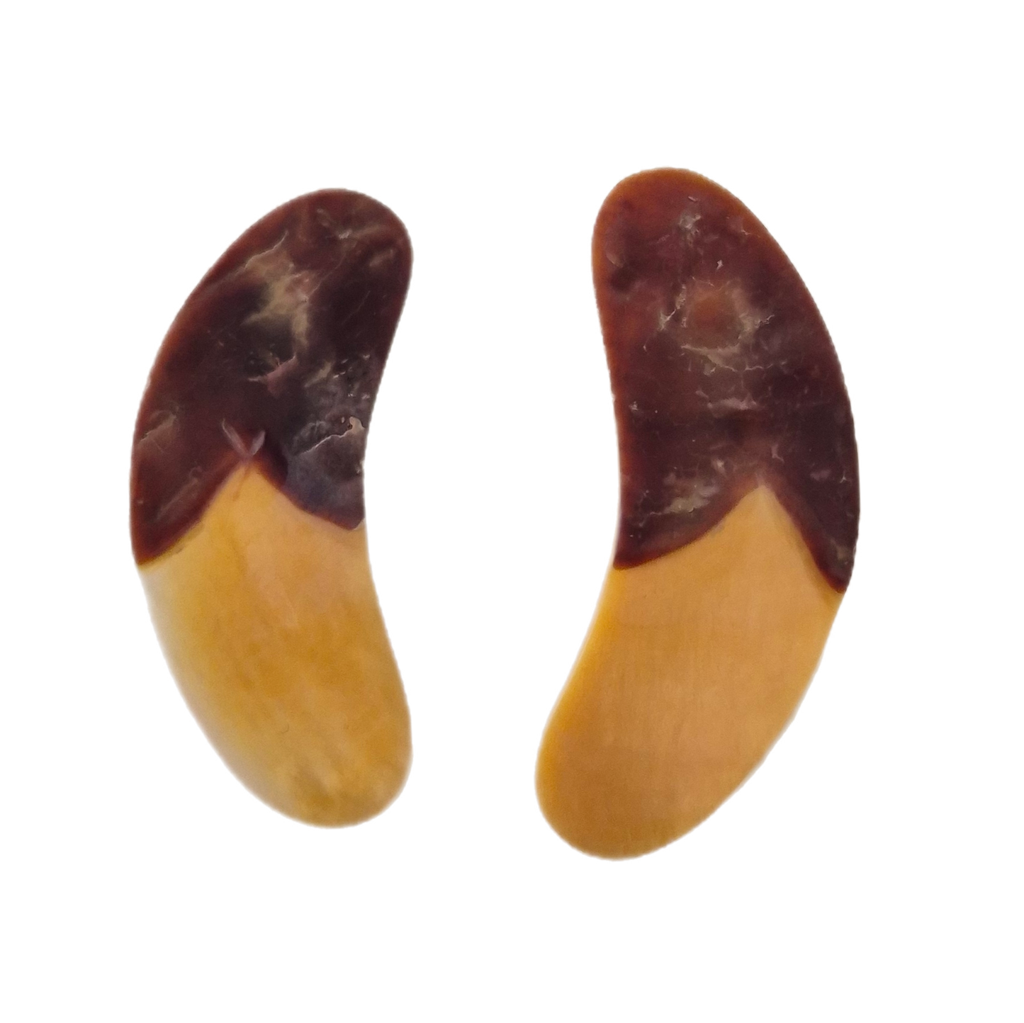 naušnice/klipse od sedefa, nove